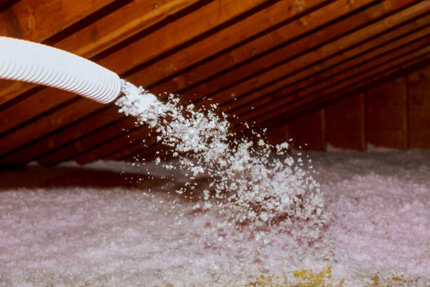 Best Garage Insulation Installation  in Lewisburg, PA