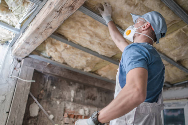 Best Blown-in Insulation  in Lewisburg, PA