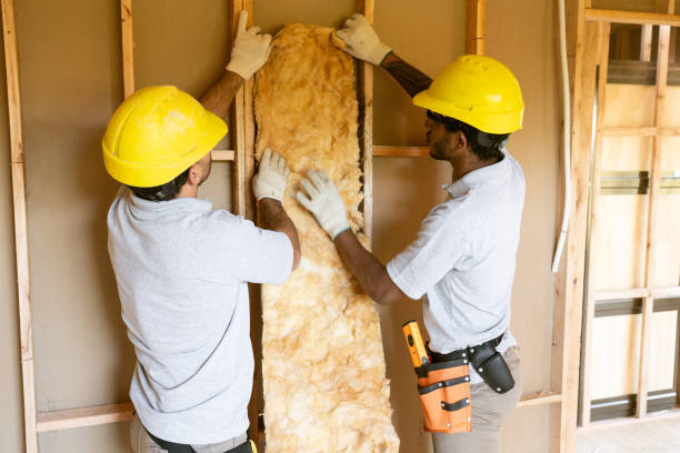 Best Best Insulation Companies  in Lewisburg, PA
