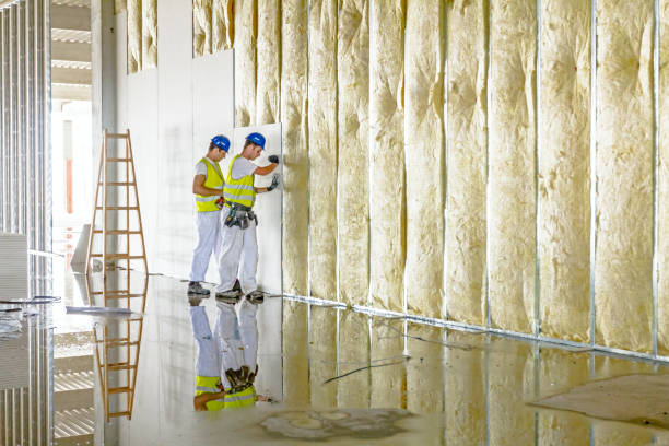 Insulation Inspection Services in Lewisburg, PA